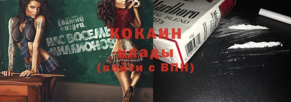 стаф Богданович