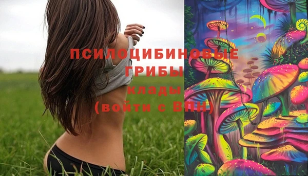 бошки Белокуриха