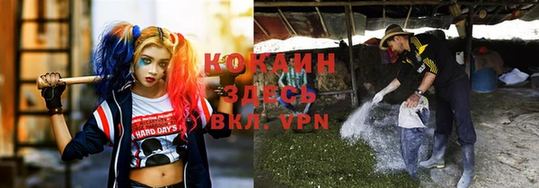 экстази Богородицк