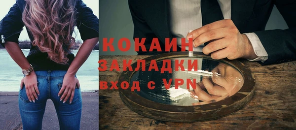 стаф Богданович