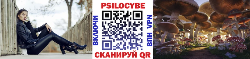 дарк нет какой сайт  Гороховец  Псилоцибиновые грибы Psilocybe  магазин  наркотиков 